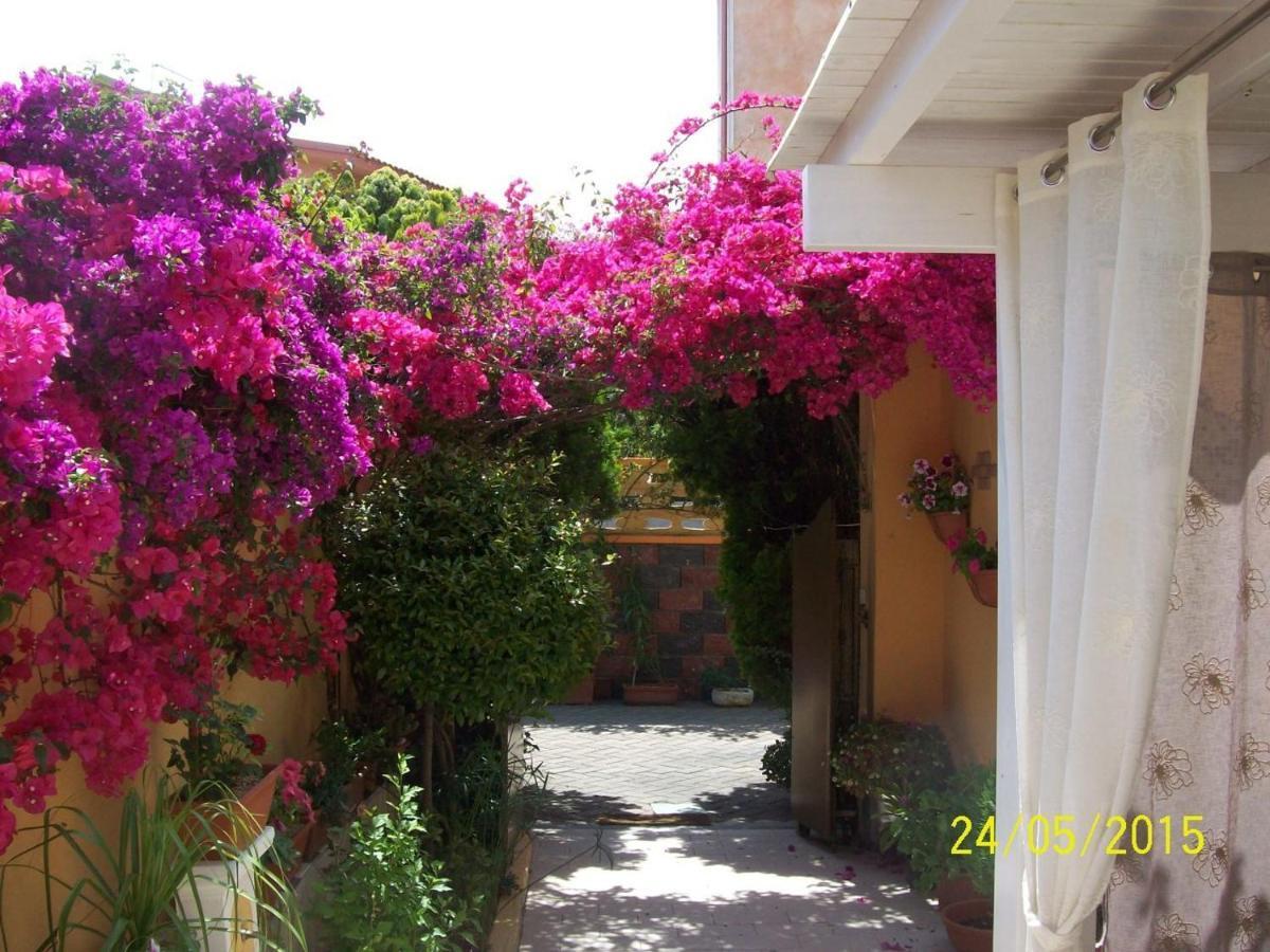 Domos Le Due Tuie Piscinas Exterior foto